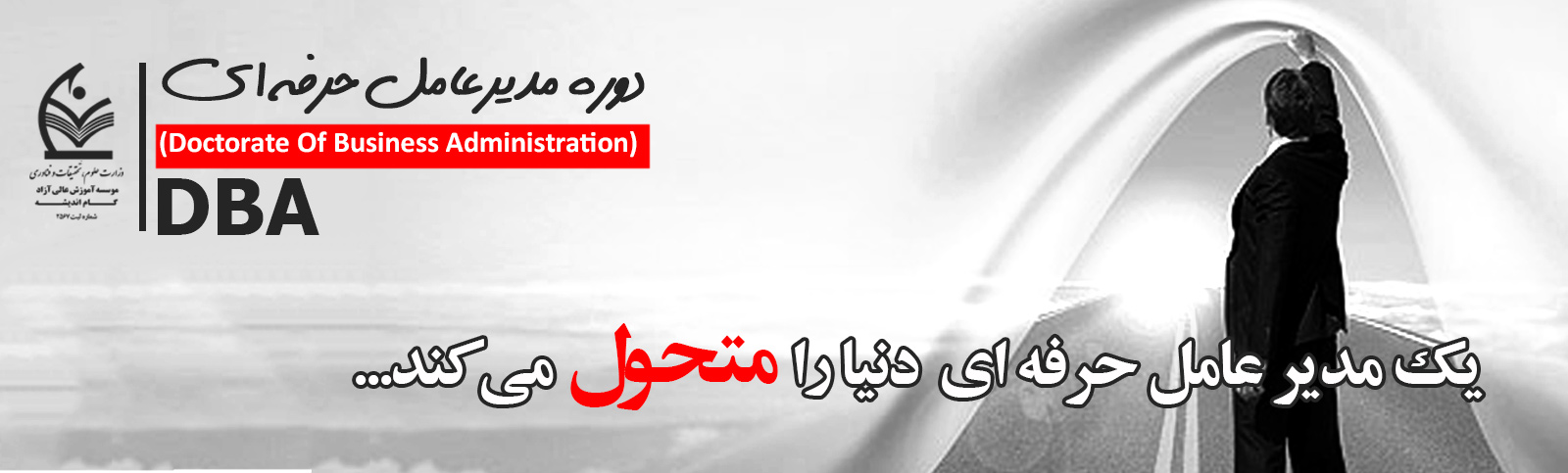 مدیرعامل حرفه ای