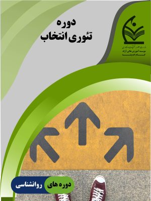 تئوری انتخاب
